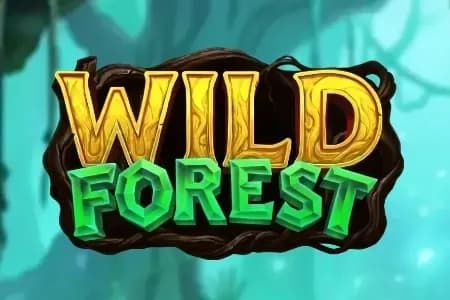 Wild Forest
