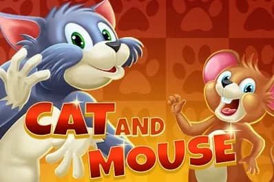 Cat and Mouse