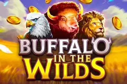 Buffalo in the Wilds