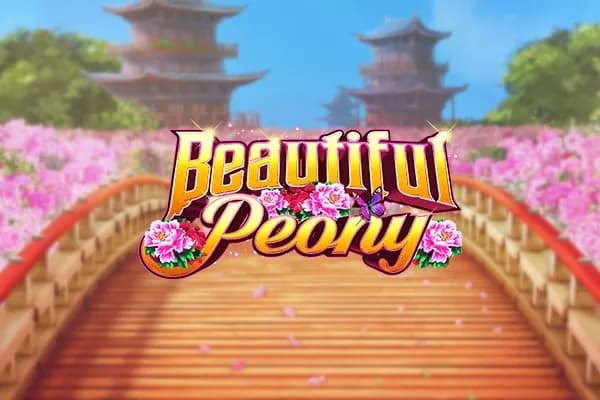 Beautiful Peony