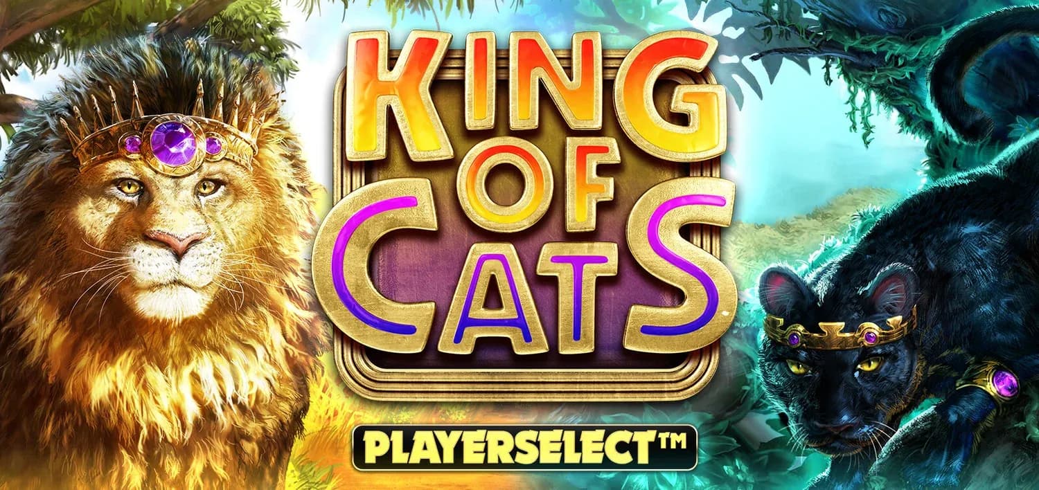 King Of Cats — Shop