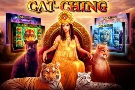 Cat-Ching