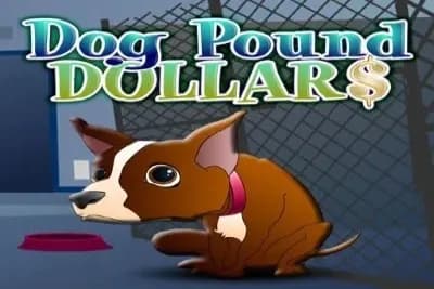 Dog Pound Dollars