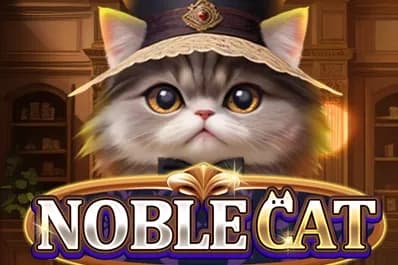 Noble Cat