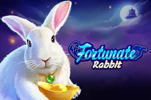 Fortunate Rabbit