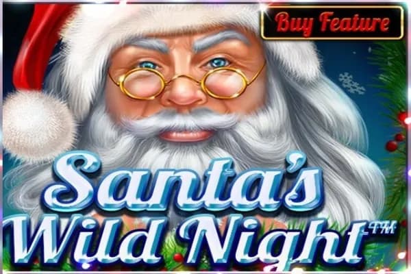 Santa's Wild Night