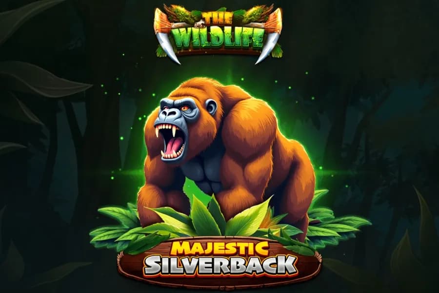 Majestic Silverback