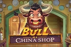 Bull in a China Shop