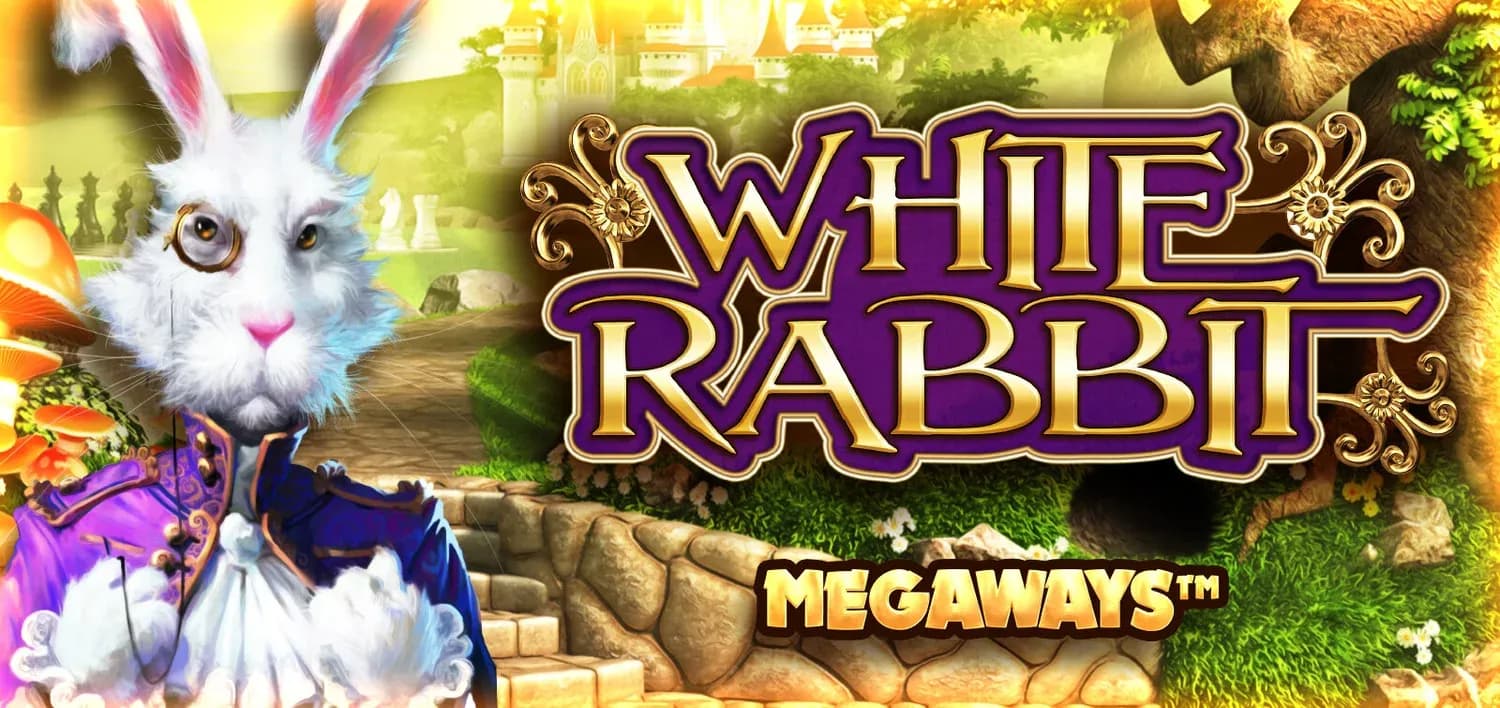 White Rabbit — Shop