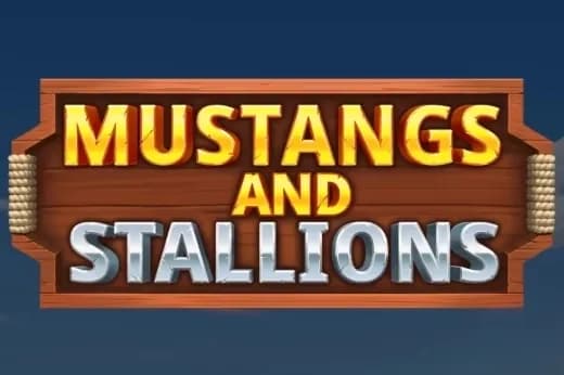 Mustangs and Stallions