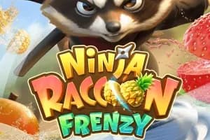 Ninja Raccoon Frenzy