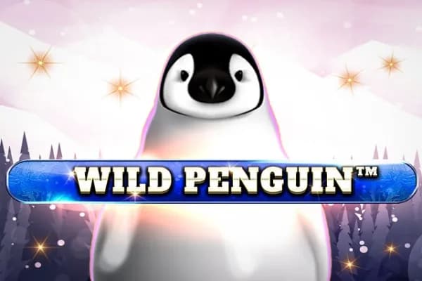 Wild Penguin