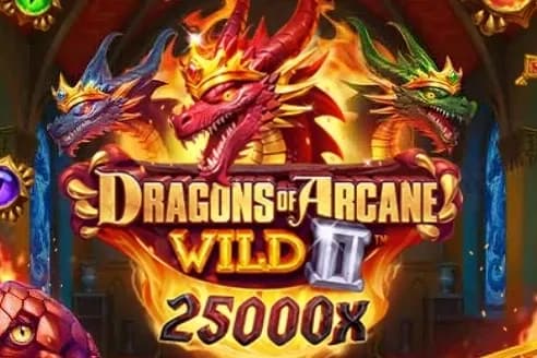Dragons of Arcane Wild 2