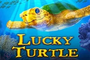 Lucky Turtle