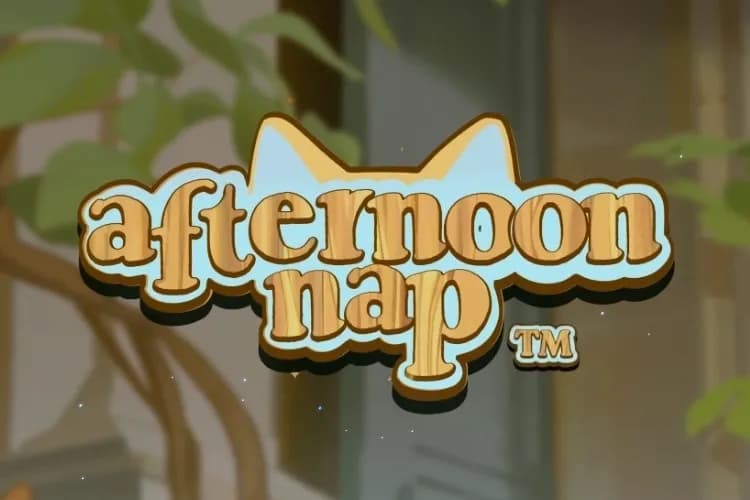 Afternoon Nap