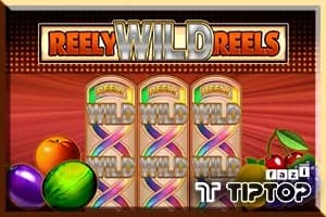Reely Wild Reels